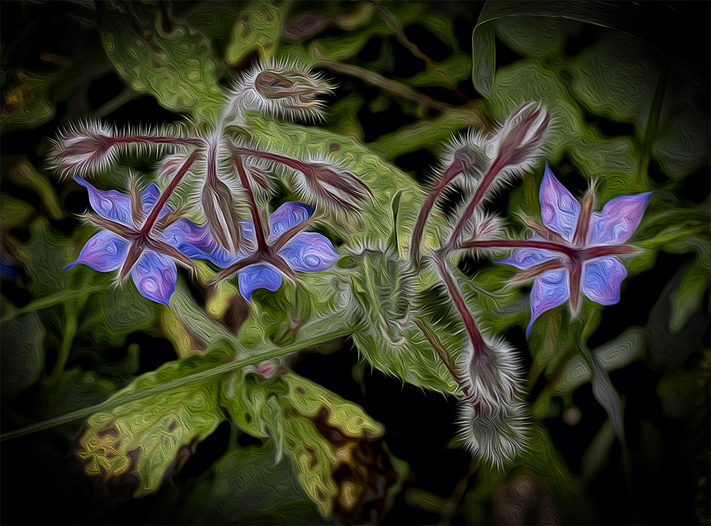 001 Schleswig Holstein Ostsee 09_2015 KA7_6522 als Smartobjekt-1 kopieren.JPG